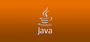 Java IEEE