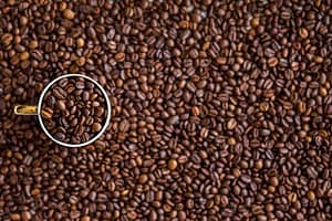Java Been - Coffee