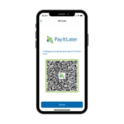 Pay It Later Mobile Pay In-store