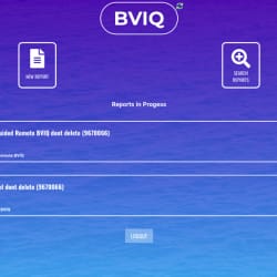 BVIQ PWA on Web