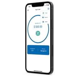 Pay It Later Mobile App